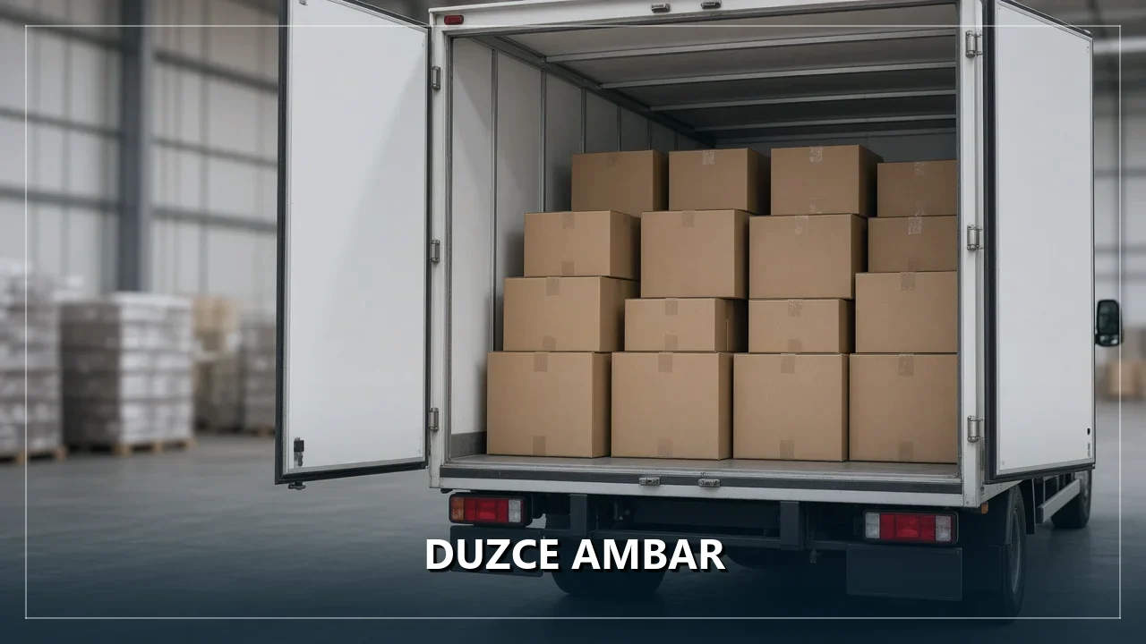 Duzce Ambar