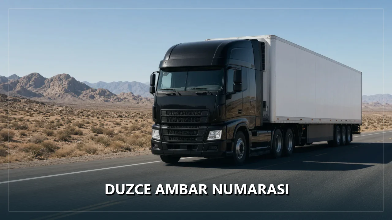 Duzce Ambar Numarası